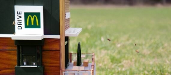 minature McDonald's restaurant with bees at drive-thru window