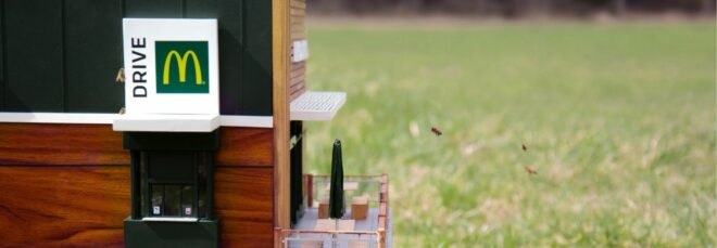minature McDonald's restaurant with bees at drive-thru window