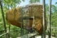 elevated pine treehouse in forest surrounded by greenery and tall trees