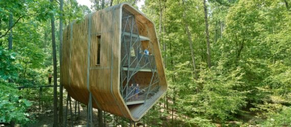 elevated pine treehouse in forest surrounded by greenery and tall trees