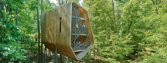 elevated pine treehouse in forest surrounded by greenery and tall trees