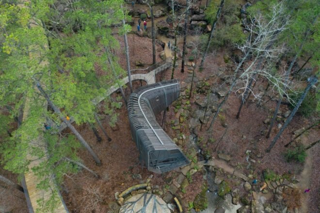 aerial view of elevated pine treehouse in forest surrounded by greenery and tall trees