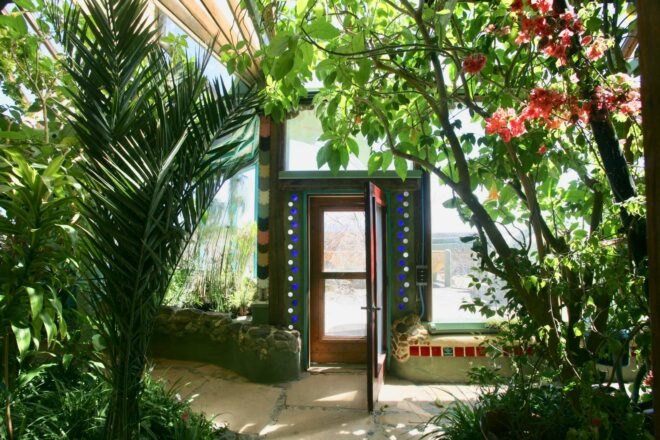 room filled with huge plants