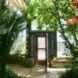 room filled with huge plants