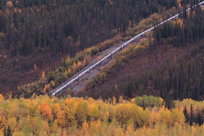 pipeline running through a forest in autumn