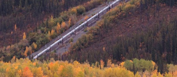 pipeline running through a forest in autumn