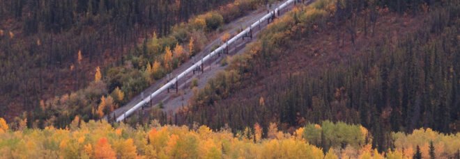 pipeline running through a forest in autumn