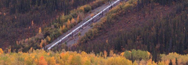 pipeline running through a forest in autumn