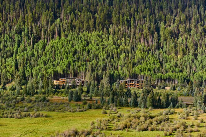 wood and metal buildings in a forest