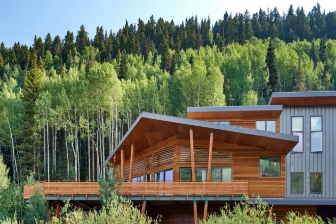 trees behind a wood building