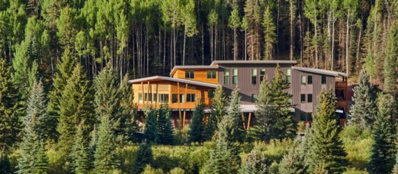 wood and metal building in a forest