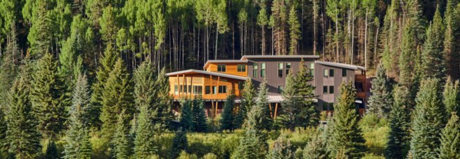 wood and metal building in a forest