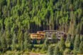 wood and metal building in a forest