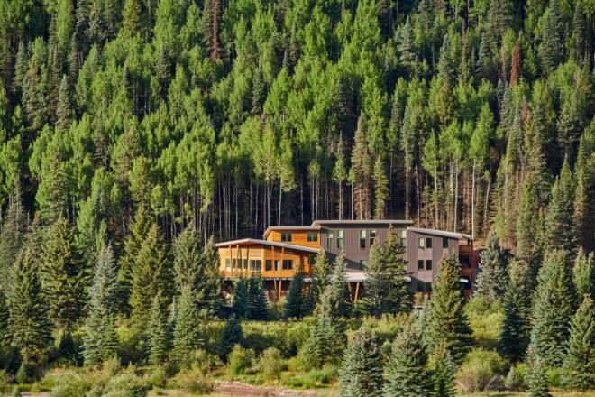wood and metal building in a forest