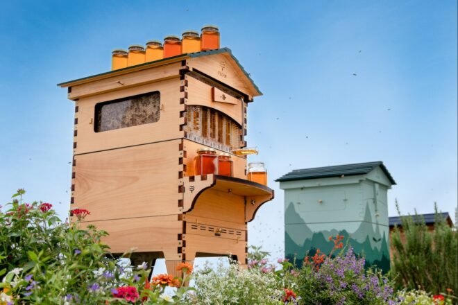 wooden bee hives in a row