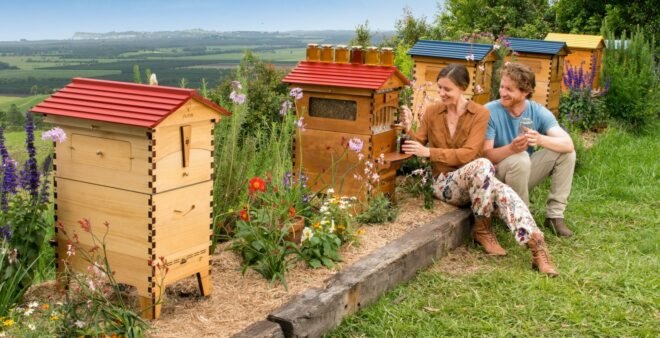 woman getting honey out of a wooden bee hive