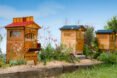 wooden bee hives in a row