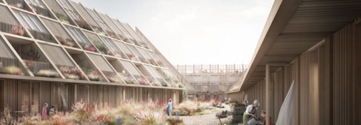 rendering of timber townhouses with sloped roofs and solar panels