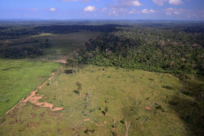 deforestation is visible throughout the Amazon rainforest