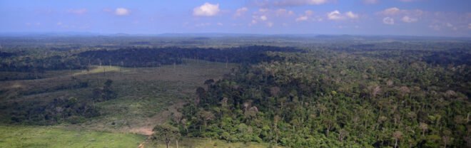 deforestation is visible throughout the Amazon rainforest