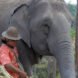 mahout standing next to elephant