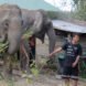 mahout standing next to elephant