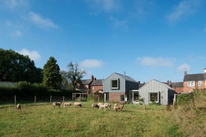 animals running in yard in front of gray and brick home