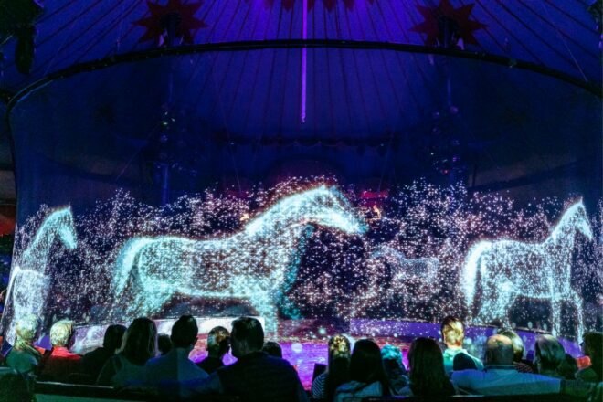 horse holograms at a circus