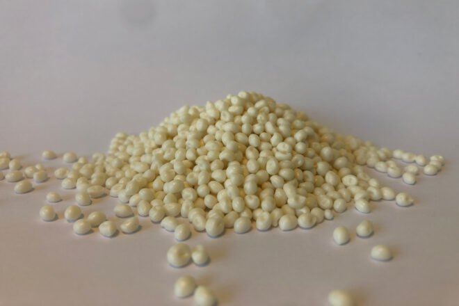 pile of tiny white bead-like material