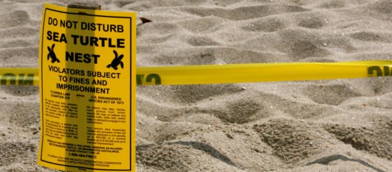 yellow sign reads, 