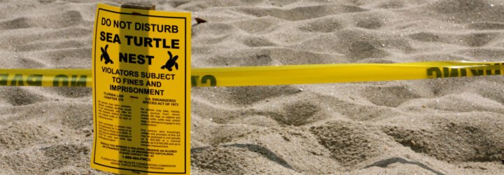 yellow sign reads, 