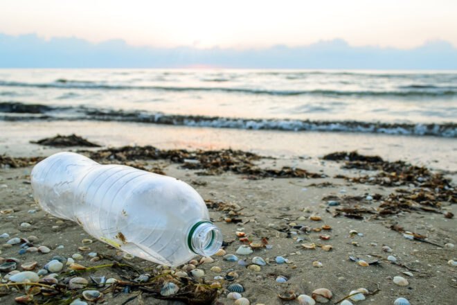 plastic water bottle near ocean