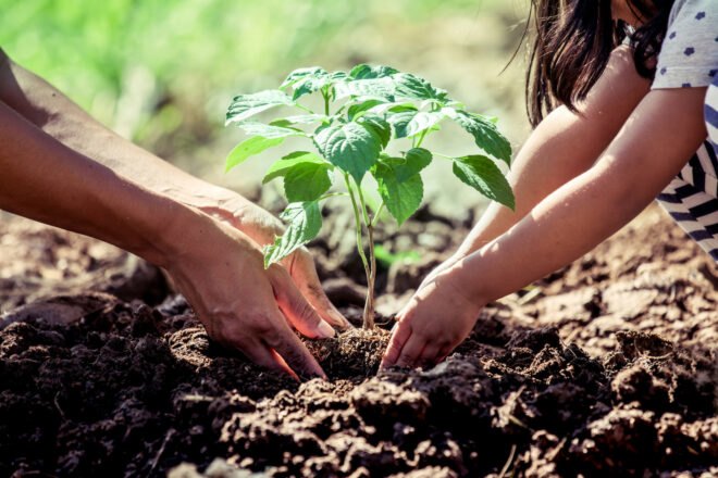 adult and child use their hands to plant a tree in soil