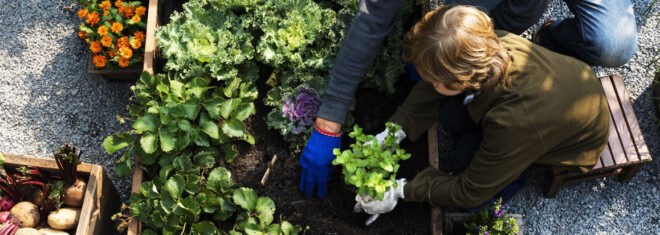 man and child planting plants in garden