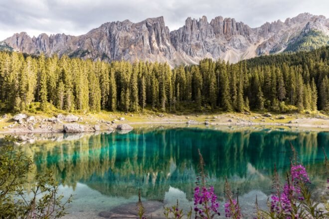 mountains and forest