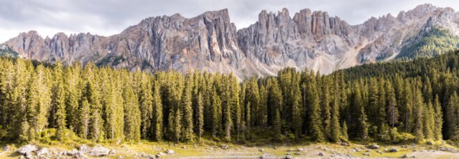 mountains and forest