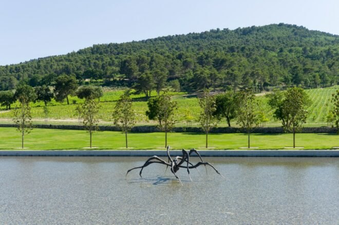 spider sculpture in water