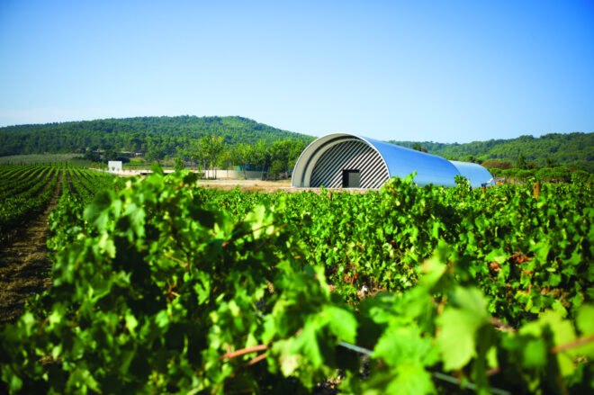 domed building in middle of vineyard