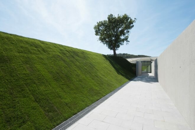 long walkway bordered by a wall of green grass