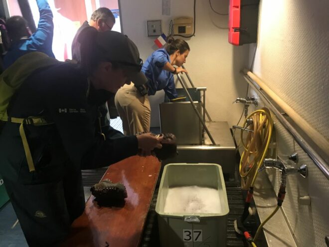 people rinsing bottom of shoes in a foot bath