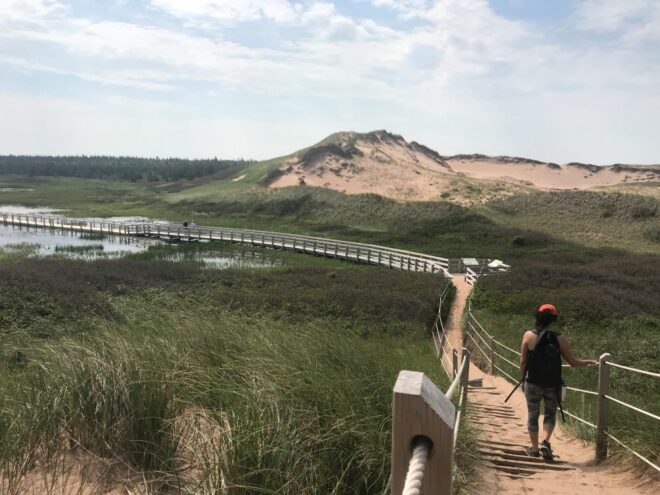 people walking a trail in a national park