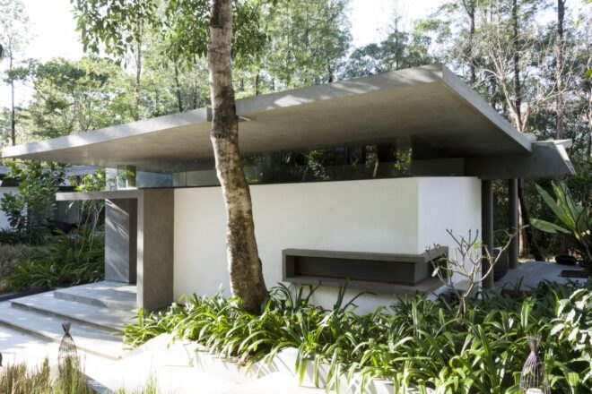 white building surrounded by trees