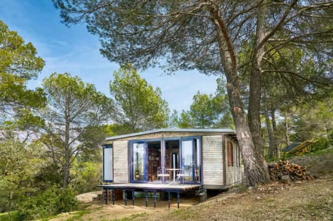 tiny wooden cabin surrounded by pine trees
