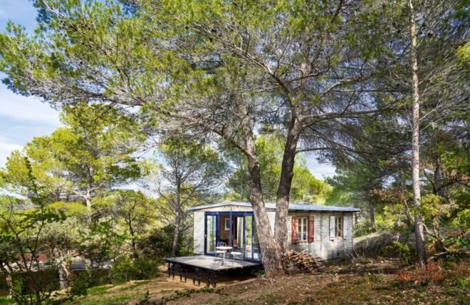 tiny wooden cabin in forest