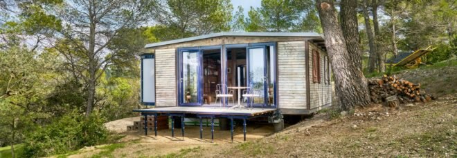 tiny wooden cabin surrounded by pine trees