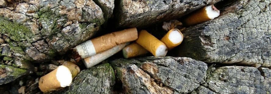 is cigarette ash good for plants Cigarette butts, the No. 1 most-littered item, are impacting plant growth