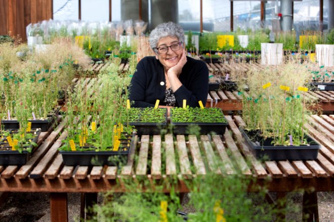 women sits in a greenhouse surrounded by plants