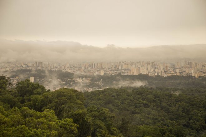 smoggy view of Mata Atlântica and city in distance