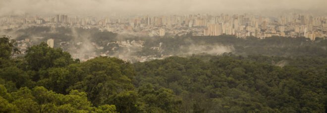 smoggy view of Mata Atlântica and city in distance