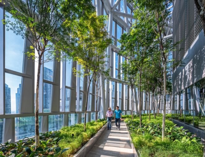 sidewalk between gardens